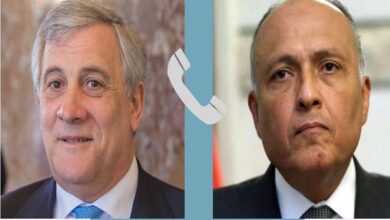 وزيرا خارجية مصر وإيطاليا