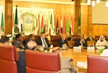 احمد أبو الغيط