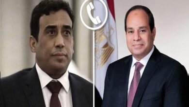 الرئيس السيسي ومحمد المنفي