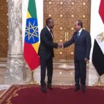 الرئيس عبدالفتاح السيسي ورئيس الوزراء الإثيوبي