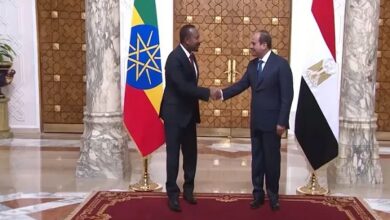 الرئيس عبدالفتاح السيسي ورئيس الوزراء الإثيوبي