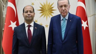السفير المصري مع الرئيس التركي