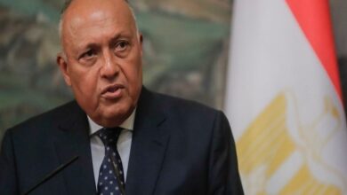 السفير سامح شكري وزير الخارجية