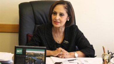 السفيرة نائلة جبر