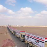 المساعدات المصرية