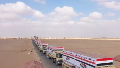المساعدات المصرية