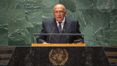 سامح شكري وزير الخارجية
