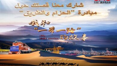 مجموعة الصين للإعلام