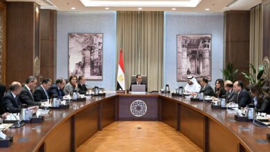 اجتماع رئيس الوزراء مع الجانب الإماراتي
