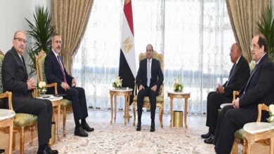 الرئيس السيسي مع وزير الخارجية التركي