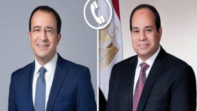 الرئيس السيسي والرئيس القبرصي