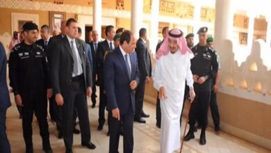 الرئيس السيسي والملك سلمان
