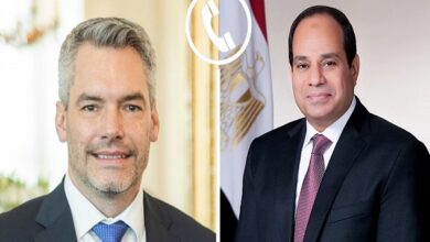 الرئيس السيسي ومستشار النمسا