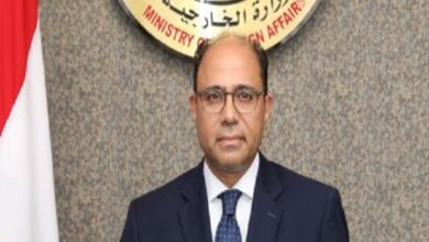 السفير أحمد أبو زيد