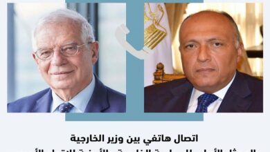 السفير سامح شكري وجوزيف بوريل