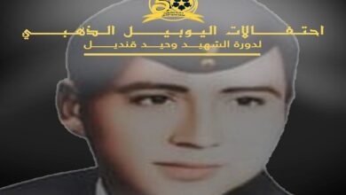 الشهيد نقيب طيار محمد وحيد قنديل