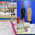 العناصر الإجرامية