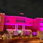 المجلس القومي للمرأة