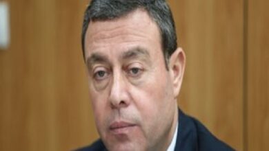 سفير فلسطين دياب اللوح