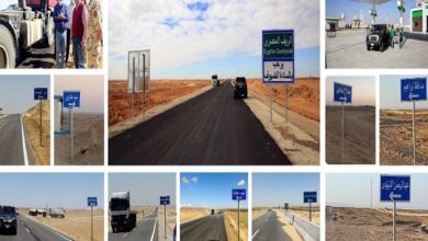 شركة الريف المصري