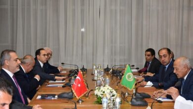 لقاء أبو الغيط ووزير الخارجية التركي