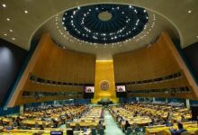 مجلس حقوق الإنسان