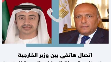 وزير الخارجية المصري مع نظيره الإماراتي
