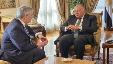 وزير الخارجية المصري ونظيره الايطالي