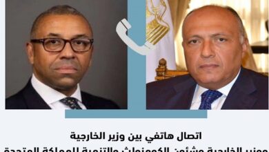 وزير الخارجية المصري ونظيره البريطاني