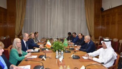 أبو الغيط مع وزير خارجية النرويج