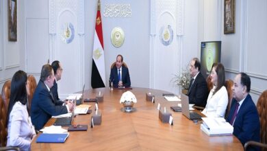 الرئيس السيسي مع المجموعة الوزارية الاقتصادية
