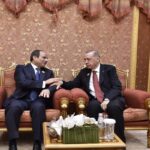 الرئيس السيسي ونظيره التركي