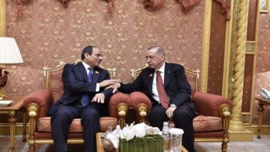 الرئيس السيسي ونظيره التركي