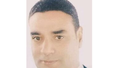 اللواء عماد حمدي