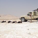 جانب من الأنشطة التدريبية
