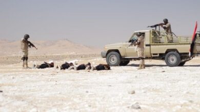 جانب من الأنشطة التدريبية