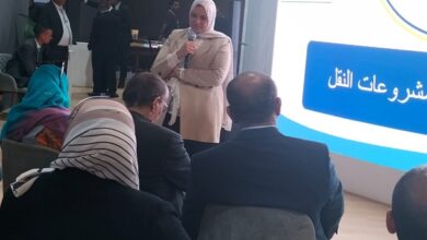 جانب من ورشة العمل