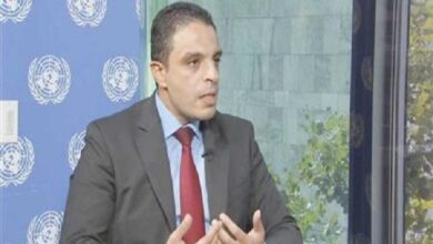 جمال رشدي المتحدث باسم الجامعة العربية