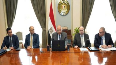 وزير الخارجية خلال اجتماع مجلس السلم والأمن الأفريقي