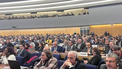 المنظمة البحرية الدولية