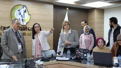 رئيس بعثة الجامعة العربية في المجلس القومي للمرأة