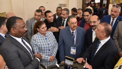 رئيس بعثة الجامعة العربية لمتابعة الانتخابات المصرية