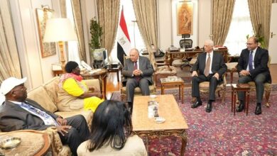 وزير الخارجية مع البعثة الإفريقية لمراقبة الانتخابات