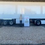 المتهم والمضبوطات