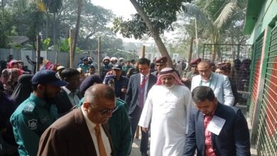 بعثة البرلمان العربي