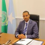 سفير جمهورية الصومال الفيدرالية