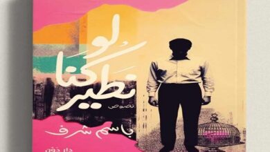 لو كنا نطير