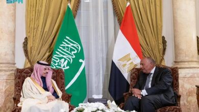 وزيرا خارجية مصر والسعودية