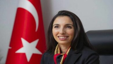 محافظة البنك المركزي التركي حفيظة غاية إركان
