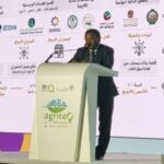 السفير محمد خير